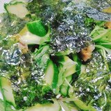 水菜きゅうりの韓国サラダ